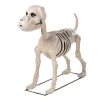 Morris Costumes 4 Ft. Standing Dog Skeleton Halloween Decoration 2 Morris Costumes 4 Ft. Standing Dog Skeleton Halloween Decoration -Target GUEST 97ecd655 7b02 4a24 868c 45ef5abad498