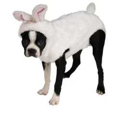 Rubies Bunny Pet Costume -Target GUEST 9b3e4477 cc1d 496b 8f2d 0cc8488fe363