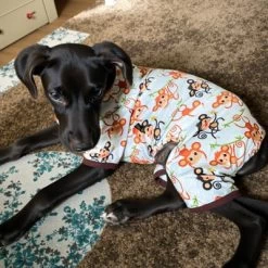 Paaaawaters Dog Jumpsuit Cute Cartoon Animal Print Velvet Puppy Warm Clothes 17 Paaaawaters Dog Jumpsuit Cute Cartoon Animal Print Velvet Puppy Warm Clothes -Target GUEST 9d73f436 1469 423e af7e 91aa60903e61