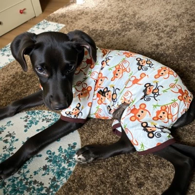 Paaaawaters Dog Jumpsuit Cute Cartoon Animal Print Velvet Puppy Warm Clothes 9 Paaaawaters Dog Jumpsuit Cute Cartoon Animal Print Velvet Puppy Warm Clothes - Image 7