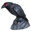 Halloween Express Raven With Turning Head & Sound Halloween Decoration - Size 17 In - Black -Target GUEST a678fc91 546e 4c77 a1c2 251ca140feb3