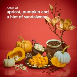 Tree Hut Shea Sugar Body Scrub - Sweet Punkin - 18oz -Target GUEST a6cc64af 55c7 4aef aa89 234b865bcd32