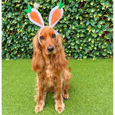Midlee Carrot Bunny Ears Easter Dog Headband Costume 6 Midlee Carrot Bunny Ears Easter Dog Headband Costume - Image 4