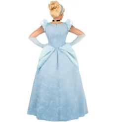 HalloweenCostumes.com Women's Disney Cinderella Halloween Costume | Adult Princess Costume For Themed Events -Target GUEST ad816ce4 f174 42e3 8be2 733dcf1c59f8