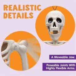 Joyfy 1/2 PCS 24" Posable Skeleton Halloween Decorative Props For Indoor/Outdoor Halloween Decorations, Graveyard Haunted House Spooky Scene Party 11 Joyfy 1/2 PCS 24" Posable Skeleton Halloween Decorative Props For Indoor/Outdoor Halloween Decorations, Graveyard Haunted House Spooky Scene Party -Target GUEST ada9bf3e 9f79 4f39 b67b d1b3dddbd001