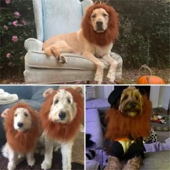 Lion Mane For Dog Costumes, Realistic Wig For Medium To Large Sized Dogs, Halloween Costumes -Target GUEST ae4f3944 2b88 4521 ba50 e2a12f86d69a