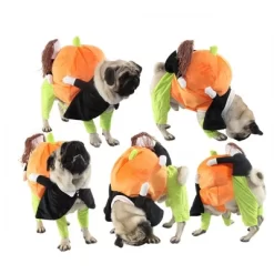 Pet Life 'Pumpkin Mon' Dog Pumkin Carrying Halloween Dog Costume, LG