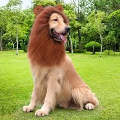 Lion Mane For Dog Costumes, Realistic Wig For Medium To Large Sized Dogs, Halloween Costumes -Target GUEST b458dcac 6468 4eb6 a359 a36d41030d48