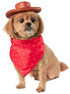 Rubies Toy Story Woody Pet Toy Bundle 3 Rubies Toy Story Woody Pet Toy Bundle