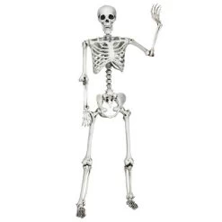 Costway Halloween Skeleton Life Size Realistic Full Body Hanging With Movable Joints