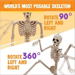Joyfy 1/2/5/10 PCS 16" Posable Skeleton Halloween Decorative Props For Indoor/Outdoor Halloween Decorations Graveyard Haunted House Spooky Scene Party -Target GUEST bba562d5 7ab7 4b9a a20a 62818ed0b9f3