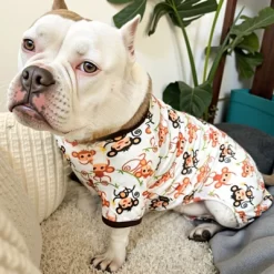 Paaaawaters Dog Jumpsuit Cute Cartoon Animal Print Velvet Puppy Warm Clothes 16 Paaaawaters Dog Jumpsuit Cute Cartoon Animal Print Velvet Puppy Warm Clothes -Target GUEST bc11271e 87e1 4f2c b36f eefa81e16a17