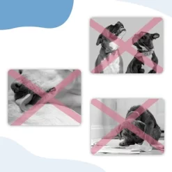 Unique Bargains Breathable Dog Muzzle Blue 1 Pc -Target GUEST bf93d91c 124d 4864 b05e bf5a11cfd3d2