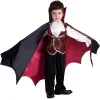 Joyfy Halloween Gothic Vampire Costume For Boys – Elegant & Spooky Role-Play Set (Cape, Vest & Bow Tie Included!)