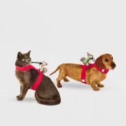 Santa Squirrel Rider Dog And Cat Costume - Wondershop™ -Target GUEST c17eac2a 82ec 4c08 80e2 b024878abbd3