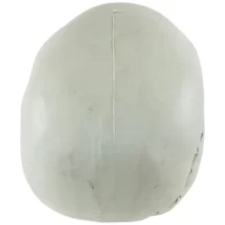 Northlight Bag Of Skulls Halloween Decorations - 6" - Set Of 3 -Target GUEST c3023818 df73 4b5d ab32 d45333f04b12