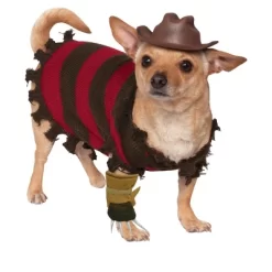 A Nightmare On Elm Street Freddy Krueger Pet Costume, Medium
