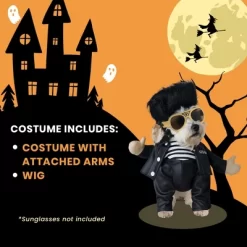 Elvis Jailhouse Rock Pet Costume -Target GUEST c9141a64 7a61 4ed3 82cc 1f277dc5f4ee