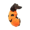 Midlee Pumpkin Face Dog Shirt Costume -Target GUEST ccf52df5 2ae3 489e acdd 14f6d6fc0ab8