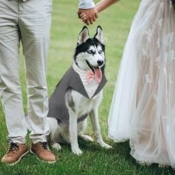 Kuoser Dog Tuxedo Dog Suit And Bandana Set, Dogs Tuxedo Wedding Party Suit, Dog Prince Wedding Bow Tie Shirt Formal Dog Wedding Attire, Gray - Medium -Target GUEST cd82af5c 0508 49af 8ca5 0c79443b8229