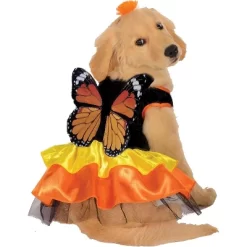 Rubies Pet Monarch Butterfly Costume 8 Rubies Pet Monarch Butterfly Costume -Target GUEST cdba7a12 60c7 4110 8dca 298232125d52