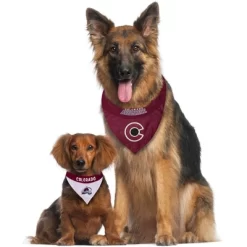 NHL Colorado Avalanche Reversible Bandana -Target GUEST cdc3f22b 890a 4713 b863 4c0339d9ec7b