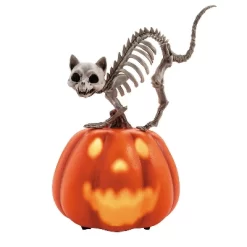 Morris Costumes 11 1/2" Animated Pumpkin With Skeleton Cat Tabletop Halloween Decoration