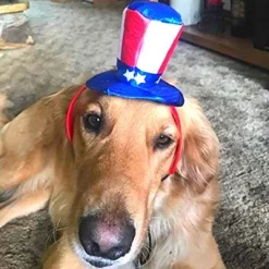 Midlee Uncle Sam 4th Of July Hat For Large Dogs Headband- Captain Halloween Costume -Target GUEST d1d33678 2447 40fb a7b0 0638b40f84b0