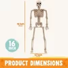 Joyfy 1/2/5/10 PCS 16" Posable Skeleton Halloween Decorative Props For Indoor/Outdoor Halloween Decorations Graveyard Haunted House Spooky Scene Party -Target GUEST d38b87ab 92a6 4f34 b569 01f2435ae92e
