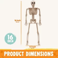 Joyfy 1/2/5/10 PCS 16" Posable Skeleton Halloween Decorative Props For Indoor/Outdoor Halloween Decorations Graveyard Haunted House Spooky Scene Party