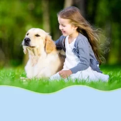 Unique Bargains Breathable Dog Muzzle Blue 1 Pc -Target GUEST d4b6ca8a 3953 4bf8 8d4f b5144d0f2fa0