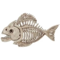 Seasons USA Fish Skeleton Halloween Decoration - 10.5 In - Off-White