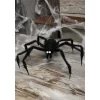 HalloweenCostumes.com One Size Fits Most Black Spider Halloween Prop - 24 Inches, Black/White -Target GUEST dac9515c ff1f 4e7e b44d ea9fdf32e1a2