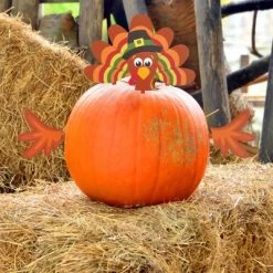 Decorae Halloween Pumpkin Decorating Kit, Turkey Set, 4 Reusable Metal Accessories For Fall Pumpkin Face Decorating W/ Turkey Body Parts -Target GUEST e12b976c 4336 447a 8b0d 208eb41b3e41