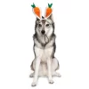 Midlee Carrot Bunny Ears Easter Dog Headband Costume -Target GUEST e1600103 0281 4c14 9448 6ee60f40c9b8