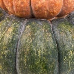 Northlight Tri-Color Pumpkin Stack Fall Harvest Decoration - 19" -Target GUEST e28ad1e9 9871 4bcc 9009 10d68c0afba9