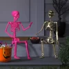 36" Posable Skeleton Halloween Decorative Prop Shiny Champagne With Weathered Finish - Hyde And EEK! Boutique™ -Target GUEST e9c4997b 6191 41be a703 fce9efceec66