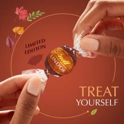 LINDOR, Lindt Fall Harvest Chocolate Pumpkin Spice Bag Candy - 5.1oz -Target GUEST f3e897a8 8297 43ed b984 c5e3508a472b