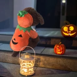 Dog Hoodie Cute Funny Halloween Style Pumpkin Cosplay Costume Warm Puppy Fleece Clothes -Target GUEST f843a11e 0f39 49d9 a80f 51161b989866