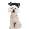 Unique Bargains Halloween Eye-catching Pet Headwear 1 Pc -Target GUEST fa2e03d1 1c46 4aee b75a 49d6dde6d2db