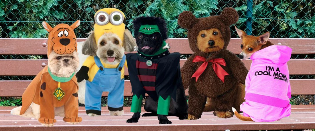 Target -Target Dog Costumes Feature Image 1